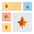 Flat Icon Maple Set Of Linden, Alder, Aspen And Other Vector Objects. Also Includes Alder, Hickory, Foliage Elements.