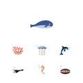 Flat Icon Marine Set Of Cachalot, Playful Fish, Medusa And Other Vector Objects. Also Includes Medusa, Jellyfish