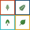 Flat Icon Nature Set Of Linden, Timber, Jungle And Other Vector Objects. Also Includes Leaf, Acacia, Birch Elements. Royalty Free Stock Photo