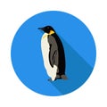 Flat icon penguin Royalty Free Stock Photo