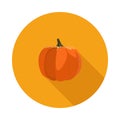 Flat icon pumpkin