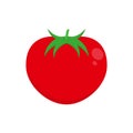 Flat icon tomato