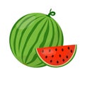 Flat icon watermelon. A whole watermelon and a slice of ripe watermelon.