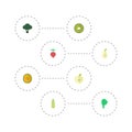 Flat Icons Jonagold, Cabbage, Duchess And Other Vector Elements. Set Of Fruit Flat Icons Symbols Also Includes Melon