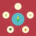 Flat Icons Nectarine, Duchess, Maize And Other Vector Elements. Set Of Dessert Flat Icons Symbols Also Includes Cereal