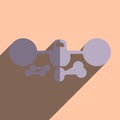 Flat icons with shadow of barbell, athletic dumbbell