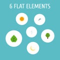 Flat Icons Sunshine, Wood, Night And Other Vector Elements. Set Of Environment Flat Icons Symbols Also Includes Wood