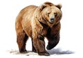 A flat illustration with a brown bear on a white background. Generated by AI