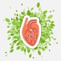 Flat illustration - human heart with green folliage, concept about health and healthy environment Royalty Free Stock Photo