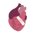 Flat illustration of ill realistic heart with seam and patch. Medical picture. Broken heart. The object is separate from the Royalty Free Stock Photo