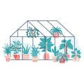 Flat illustration of many different house plants in pots in a greenhouse isolated on a white background