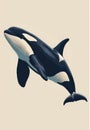 flat illustration of orca with calming colors Royalty Free Stock Photo