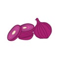 Flat illustration shallot vector eps 10