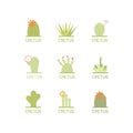 Flat illustration of succulent plants and cactuses.