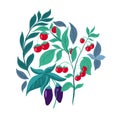 Flat illustration of vegetables on white background. Cherry tomato bush, eggplant, basil and herbs. Vegetable garden