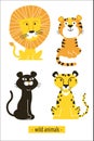 Flat illustration with a wild African cats. Cute lion, tiger, panther, leopard. Royalty Free Stock Photo