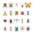 Flat Insects Icons Set. Butterfly, Dragonfly, Spiders, Ant Isolated On White Background