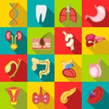 Internal organs icons set, flat style