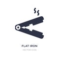 flat iron icon on white background. Simple element illustration from Beauty concept Royalty Free Stock Photo