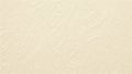 Flat Ivory Texture Background Royalty Free Stock Photo