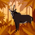 Flat jungle background with Sable Antelope