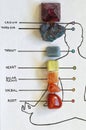 Flat lay All chakra chart with corresponding colors and crystal