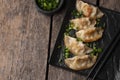 Flat lay of asian dumplings dish with herbs and copy space. High quality and resolution beautiful photo concept Royalty Free Stock Photo