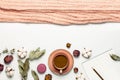 Flat lay autumn composition. Cup of coffee pink knitted women`s sweater or warm plaid cotton flowers dry rose eucalyptus macaroon Royalty Free Stock Photo