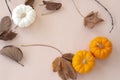 Flat lay autumn fancy halloween pumpkins and dried leaves on pas