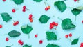 Flat lay autumn. Green leafs, dry leaves, red fruits Rowans isolated on pastel blue background - Nature pattern. Autumn, fall Royalty Free Stock Photo
