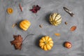 Flat Lay Autumnal Composition on Scratchy Background