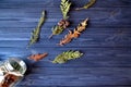 Flat lay background with branches of fir-tree. Dark blue wooden background with natural elements of decor.