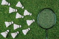 flat lay with badminton racket and white shuttlecocks Royalty Free Stock Photo