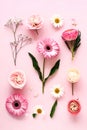 Flat lay beautiful composition flowers Royalty Free Stock Photo