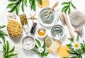 Flat lay beauty skin care ingredients, accessories. Natural beauty products on a light background Royalty Free Stock Photo