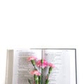 Flat lay: Bible and pink, red, rose flower bouquet. On white background