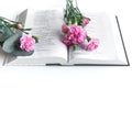 Flat lay: Bible and pink, red, rose flower bouquet. On white background Royalty Free Stock Photo