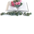 Flat lay: Bible and pink, red, rose flower bouquet. On white background Royalty Free Stock Photo