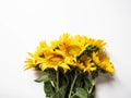 Flat lay of bouquet yellow sunflower flowers on a white background isolated. Top view. Nature, spring and summer concept. Copy