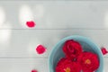 Flat lay with bright red roses floating in light-blue bowl and petals on light-blue wooden background Royalty Free Stock Photo