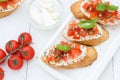 Flat lay with bruschettas with cream cheese, tomatoes and basil. Top view