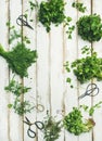 Various fresh green kitchen herbs over wooden background, copy space Royalty Free Stock Photo