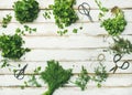 Various fresh green kitchen herbs over wooden background, copy space Royalty Free Stock Photo