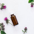 Flat lay burdock Essential oil In small bottle. Spikes of flowers and leaves on a white background Royalty Free Stock Photo