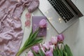 Flat Lay canddle Laptop plaid, pink Tulips White Surface Royalty Free Stock Photo