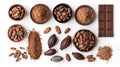 A flat lay of chocolate ingredients and chocolate bars, including cocoa pods, cocoa beans, chocolate mass, cocoa powder