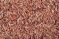 Flat lay close up of delicious and healthy Red Rice