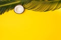 Flat lay coconut and palm leaves on yellow background Royalty Free Stock Photo