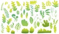 Flat lay collection green garden vegetation bushes and plants designs icon set for story, fall sale, social media promotional Royalty Free Stock Photo