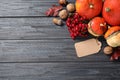 Flat lay composition with autumn vegetables and fruits on grey wooden background. Happy Thanksgiving day Royalty Free Stock Photo